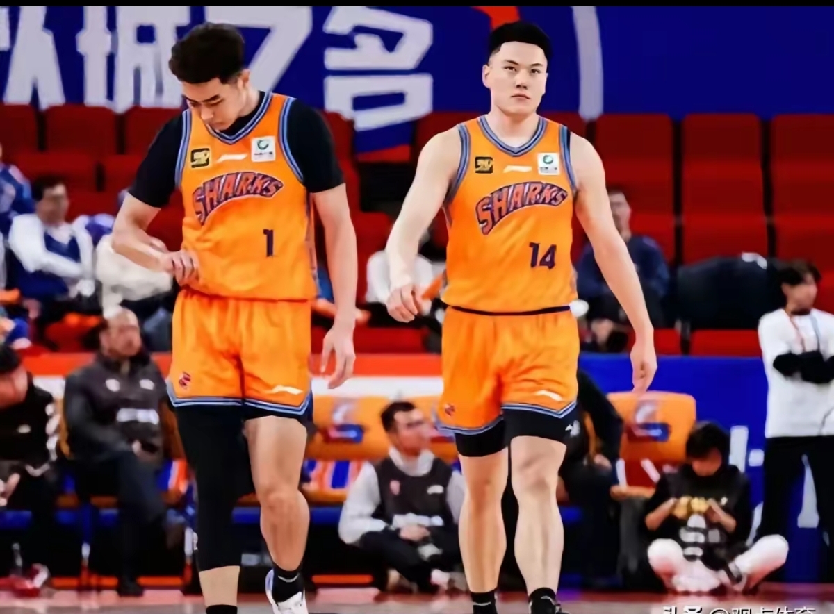 上海队备战关键比赛冲击胜利 上海队备战关键比赛冲击胜利