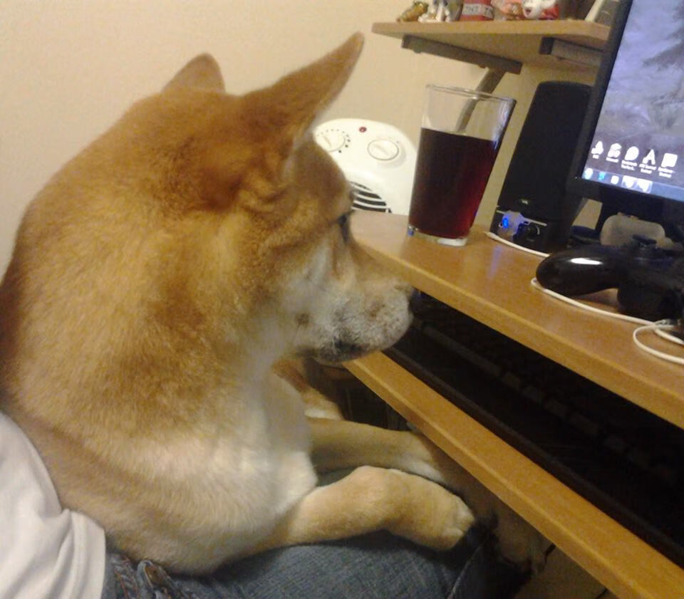 奥运周期关键战，爵士队狂胜北京队，焦点之战揭示篮球实力鸿沟