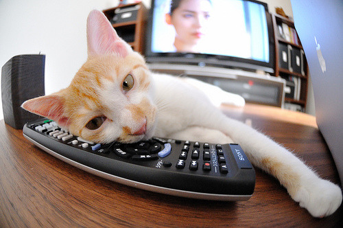 篮球世界的双重奏，NBA总决赛焦点未散，爱尔兰硬仗力克伊朗