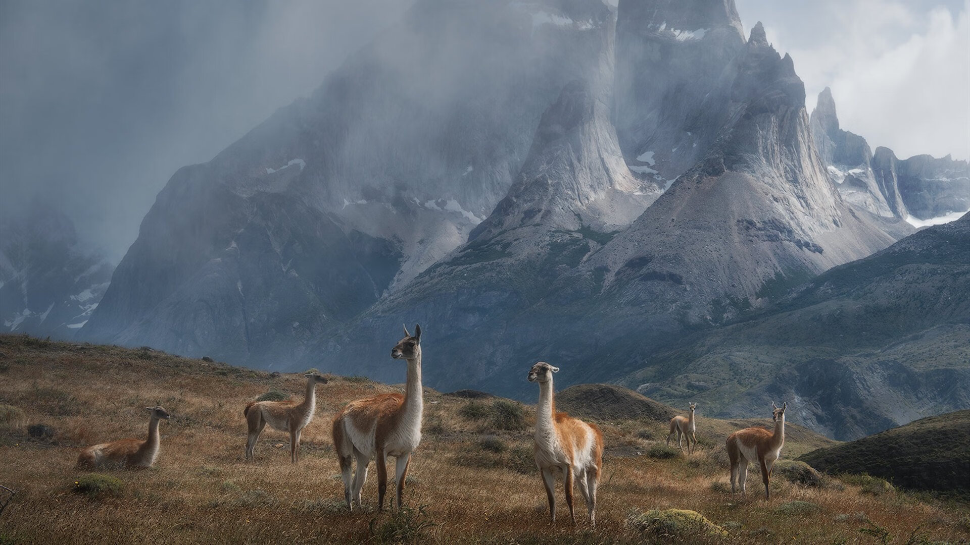 冷门与辉煌，墨西哥爆冷亚特兰大，厄德高打出统治级数据