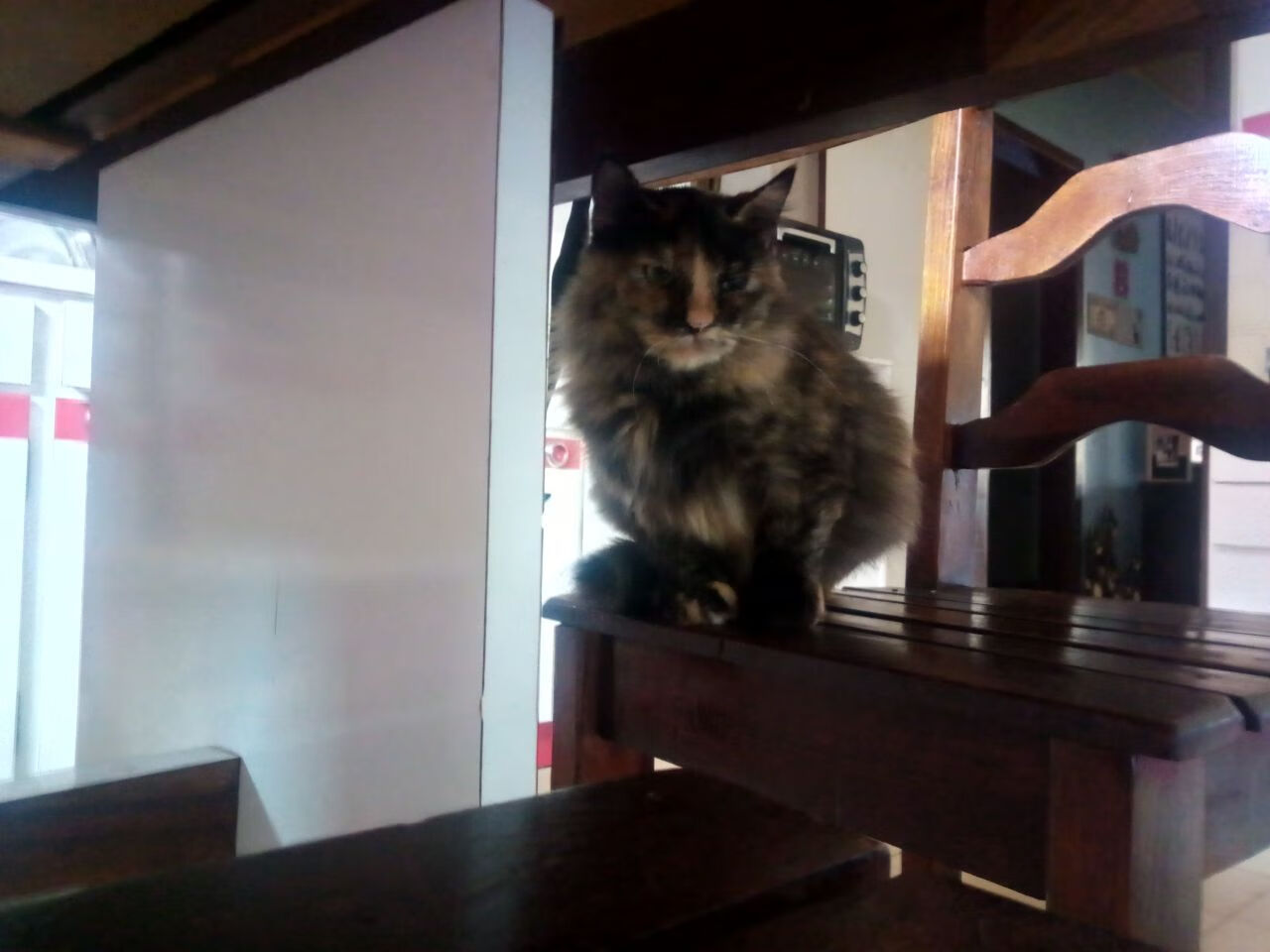 维尼修斯爆发助巴西狂胜，苏格兰生死战逆转阿尔及利亚